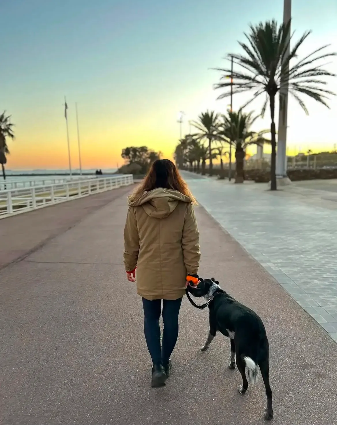 Mariana promenant un chien sur le front de mer de Barcelone entre les palmiers au coucher du soleil