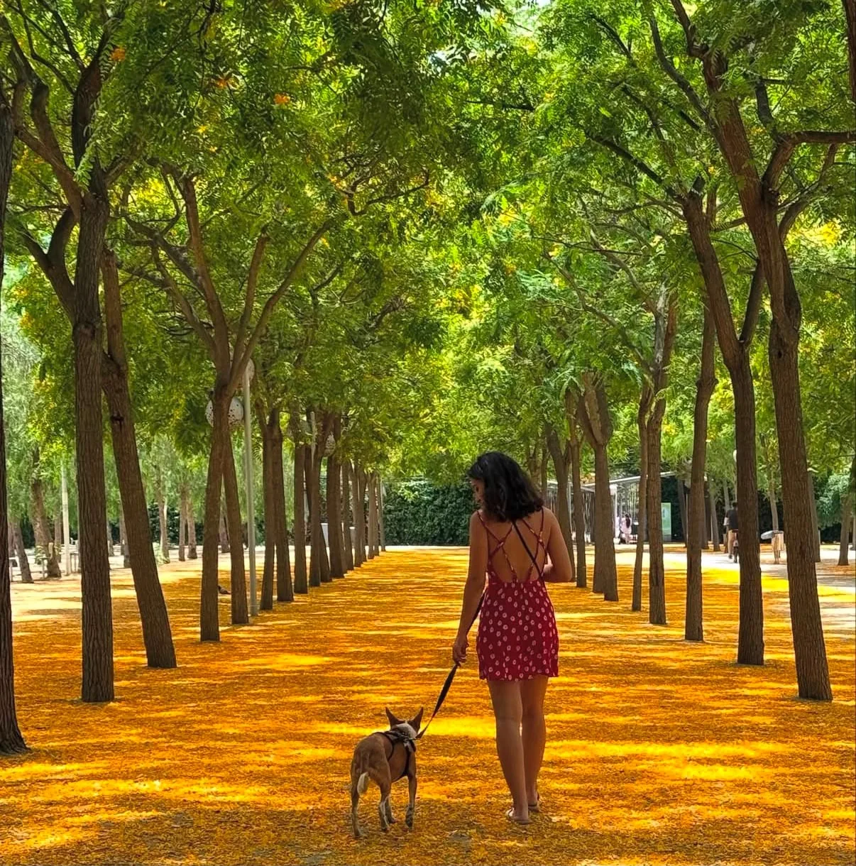 Mariana promenant un chien sur une allée boisée et dorée d’un parc de Barcelone