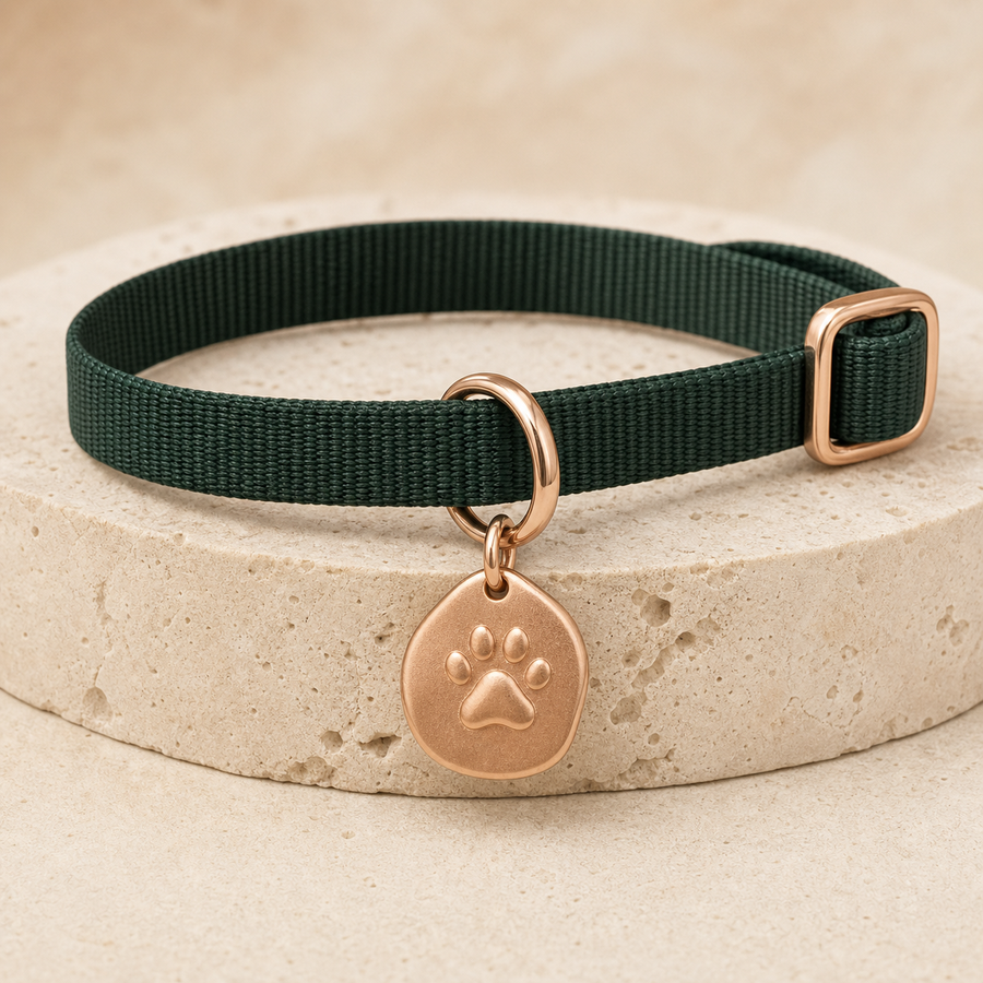 Médaille-bijou dorée avec empreinte pour collier de chien